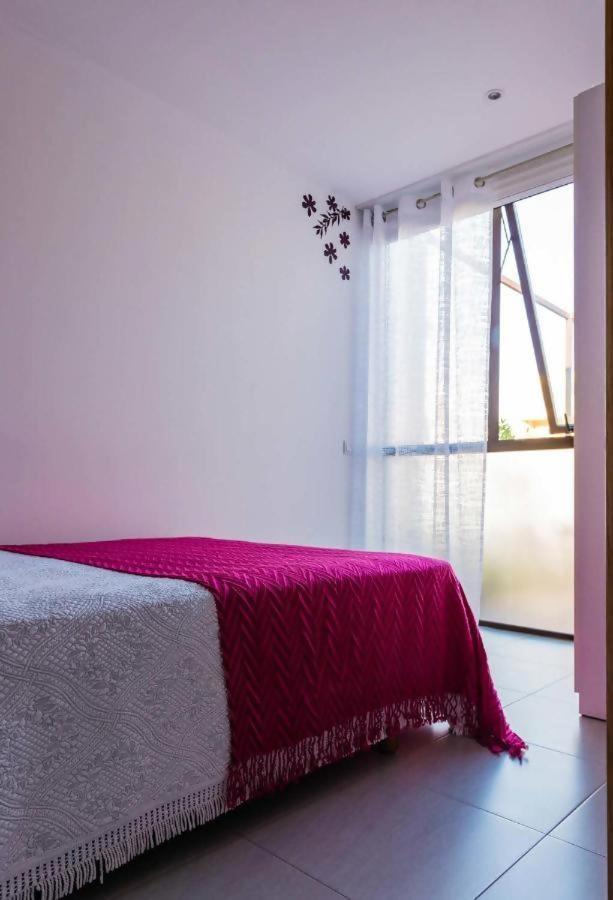 Casa Rural Vina Vella Esteiro Exteriér fotografie